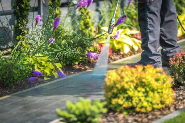 Best Winterizing Services  in Middle River, MD