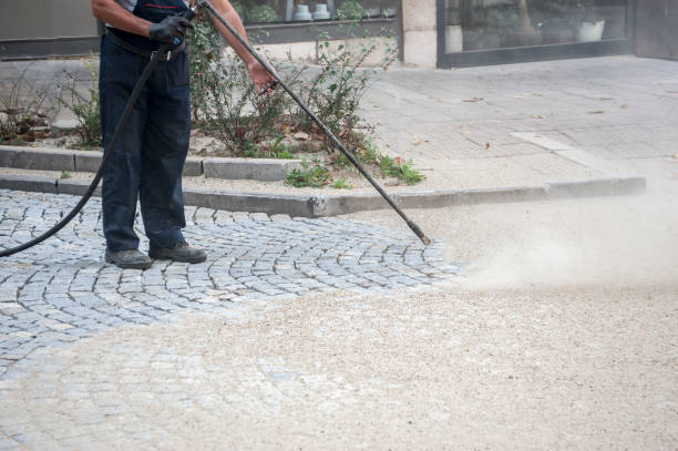 Best Warehouse Cleaning  in Middle River, MD